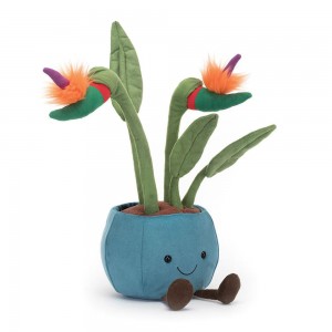 Amuseables Jellycat Bird of Paradise 38cm x 17cm x 14cm Verdes | México 1493OSCYD