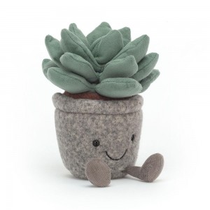 Amuseables Jellycat Silly Succulent Azulita 16cm x 7cm x 6cm Verdes | México 1539MSWVB