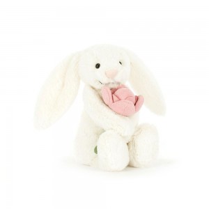 Animals Jellycat Bashful Bunny 'Peony' 7.1in x 3.5in x 3.1in Blancos | México 7983ELOJR