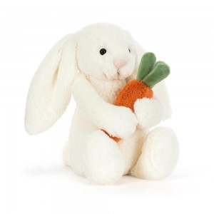 Animals Jellycat Bashful Carrot Bunny 18cm x 9cm x 8cm Blancos | México 8904IZJCM