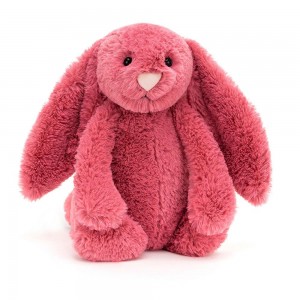 Animals Jellycat Bashful Cerise Bunny 31cm x 12cm x 9cm Rosas | México 0721SQABJ