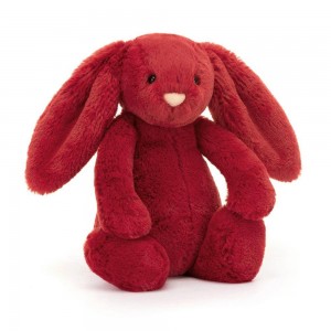 Animals Jellycat Bashful Cranberry Bunny 18cm x 9cm x 8cm Rojos | México 1308RFKWS