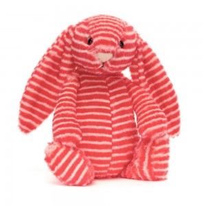 Animals Jellycat Bashful Evey Bunny 31cm x 12cm x 9cm Rojos | México 1398NSIPB