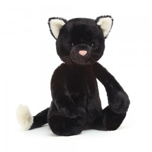 Animals Jellycat Bashful Kitten 31cm x 12cm x 9cm Negros | México 8972TNCIY