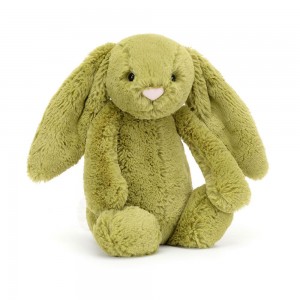 Animals Jellycat Bashful Moss Bunny 31cm x 12cm x 9cm Verdes | México 7105ENGCZ