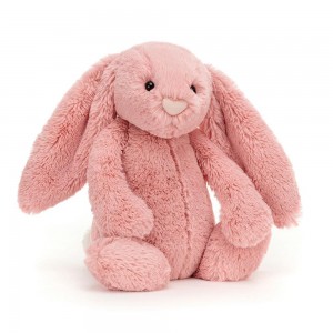 Animals Jellycat Bashful Petal Bunny 31cm x 12cm x 9cm Rosas | México 6035MDQYH