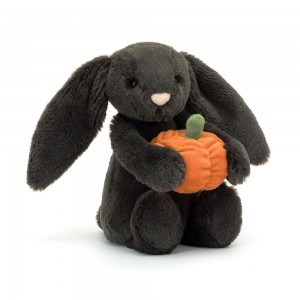 Animals Jellycat Bashful Pumpkin Bunny 31cm x 12cm x 9cm Negros | México 5718IERQK