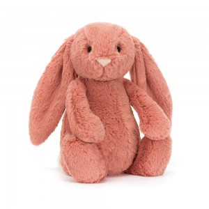 Animals Jellycat Bashful Sorrel Bunny 31cm x 12cm x 9cm Naranjas | México 3526MQRHJ