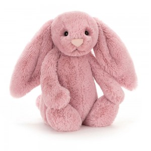 Animals Jellycat Bashful Tulip Bunny 31cm x 12cm x 9cm Rosas | México 3571SGEDP