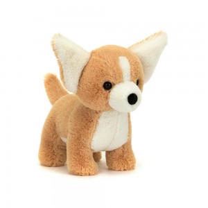 Animals Jellycat Isobel Chihuahua 17cm x 9cm x 17cm Marrom | México 2835DYBFW