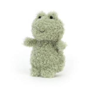 Animals Jellycat Little Frog 18cm x 10cm x 8cm Verdes | México 2718LFNYR