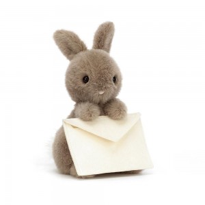 Animals Jellycat Messenger Bunny 19cm x 12cm x 12cm Marrom | México 2475QEOGT