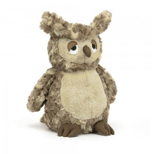 Animals Jellycat Oberon Owl 27cm x 12cm x 11cm Beige | México 0516DOLGE