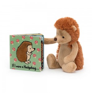 Baby & Books Jellycat If I Were A Hedgehog Board Book and Bashful Hedgehog Medium Marrom | México 5320CMXKG
