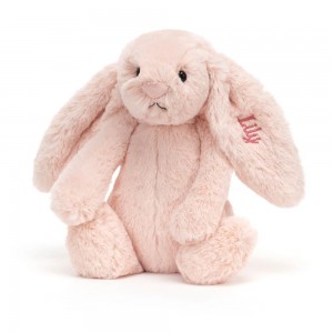 Baby & Books Jellycat Personalised Bashful Blush Bunny Medium 56cm x 70cm x 9cm Rosas | México 3965CFZJQ