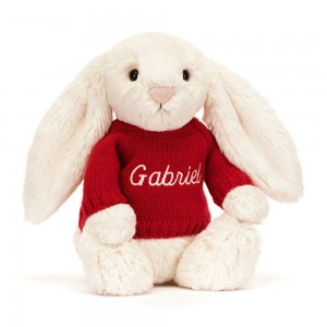 Discover Jellycat Bashful Cream Bunny with Personalised Jumper 31cm x 12cm x 9cm Blancos | México 2309VLGRD