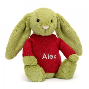 Discover Jellycat Bashful Moss Bunny with Personalised Jumper 31cm x 12cm x 9cm Verdes | México 5847XZIVJ