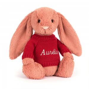 Discover Jellycat Bashful Sorrel Bunny with Personalised Jumper 31cm x 12cm x 9cm Naranjas | México 4138WMNTP