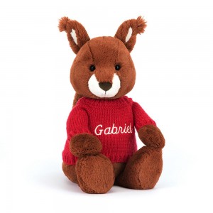 Discover Jellycat Bashful Squirrel with Personalised Jumper 31cm x 12cm x 9cm Rojos | México 4937UKMEJ