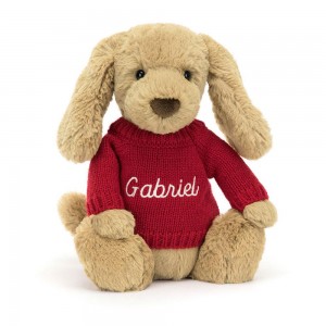 Discover Jellycat Bashful Toffee Puppy with Personalised Jumper 31cm x 12cm x 9cm Marrom | México 9304GDIYV