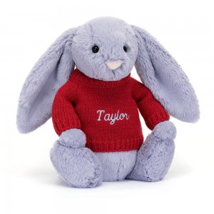 Discover Jellycat Bashful Viola Bunny with Personalised Jumper 31cm x 12cm x 9cm Morados | México 0157ANDXM