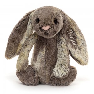 Discover Jellycat Personalised Bashful Cottontail Bunny Medium 31cm x 12cm x 9cm Marrom | México 7095ZVCDF