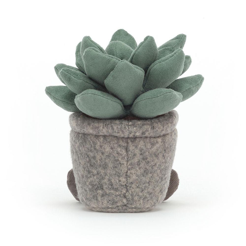 Amuseables Jellycat Silly Succulent Azulita 16cm x 7cm x 6cm Verdes | México  3542XPOKS