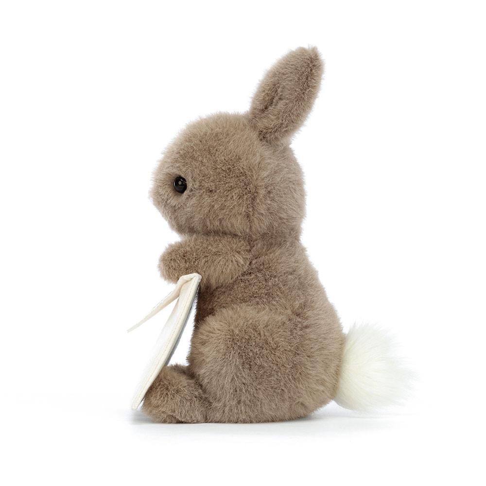 Animals Jellycat Messenger Bunny 19cm x 12cm x 12cm Marrom | México  2475QEOGT